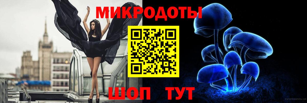 Заводоуковск  Псилоцибиновые грибы Psilocybine cubensis  Вход с VPN 